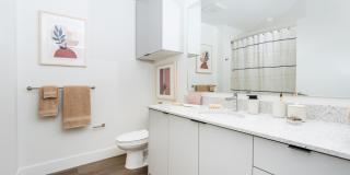 Alexan Main Street Gallery 49