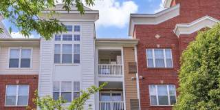 Emerson at Cherry Lane Gallery 7