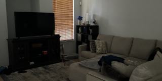 1707 Belmont Place Gallery 4