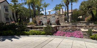 24111 Del Monte Dr. Gallery 25