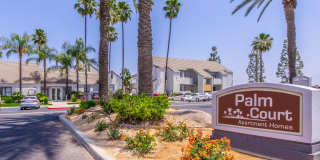 Palm Court Apartment Homes Gallery 11