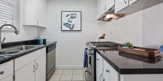 Glen Oaks Gallery 4