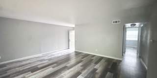 204 Pine Street Gallery 1