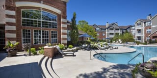 Lake Clearwater Gallery 30