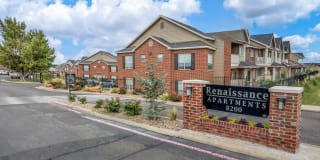 Renaissance Gallery 1