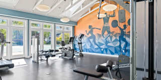 Rosemont Square Gallery 14