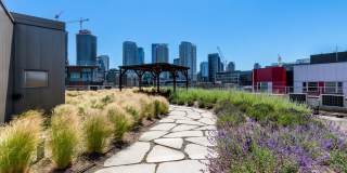 Stack House Gallery 19