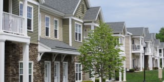 The Springs Gallery 19