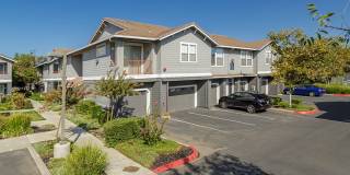 Seville at Mace Ranch Gallery 15