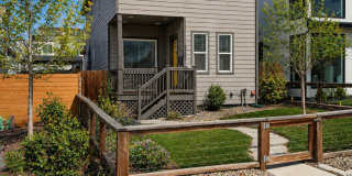 Modern 3 Bedroom home in Denver Modern 3 Bedroom home in Denver Gallery 1