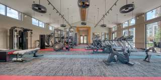 Berkshire at the Rim Berkshire at the Rim Gallery 9