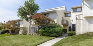 Regency Club Gallery 22