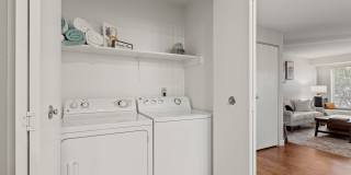 MonteVista Gallery 13