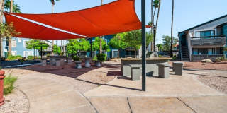 Palms at South Mountain Gallery 17