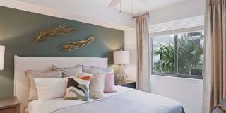 Palmera Gallery 6