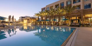 The Avalyn Gallery 43