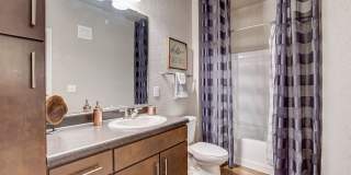 Springs at Round Rock Gallery 16