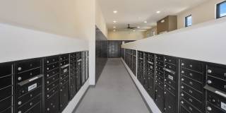 Prose Ascend Gallery 40