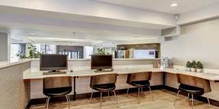 The Mark Alexandria Gallery 10