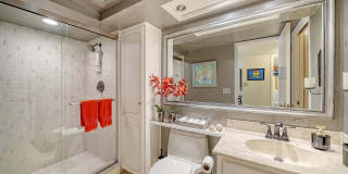 1355 S PORTOFINO DRIVE Gallery 53