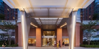 The Duchess Gallery 38