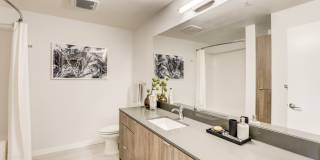 Anthology Apartments Gallery 15