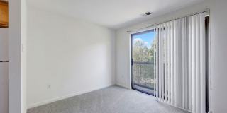The Shelton Gallery 1