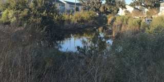 324 Laurel Oak Lane Gallery 42