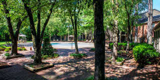 The Summit Gallery 12