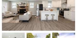 9520 48TH Avenue Gallery 1