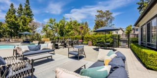 Sofi Ocean Hills Gallery 22