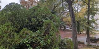 2217 Blossom St - 4 Gallery 21