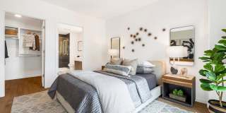Cortland Rosslyn Gallery 21