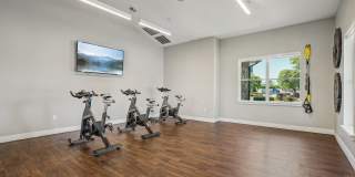 Maison's Landing Gallery 28