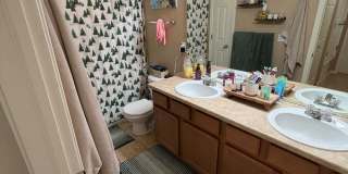 Fantastic!  Light and Bright!  1 bed + loft - 1 bath Gallery 16