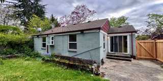 One Block to Lake Washington, Available Aug 1st Gallery 37