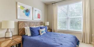 Edge at 1702 Gallery 18