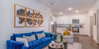 Carmel Vista Gallery 8