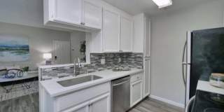 37414 Parish Cir Unit 7B Gallery 11