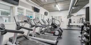 Albion At Morrow Park Gallery 7