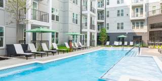 The Scottie Gallery 17