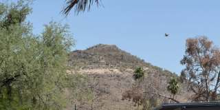 2640 South Cottonwood Lane #13 - 1 Gallery 9