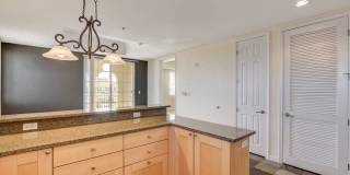 Boca Raton Gallery 19