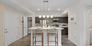 Thornton Hall Gallery 1