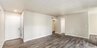 Forest Hill Village Gallery 18