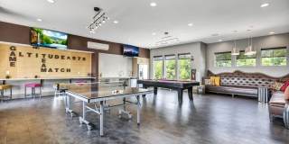 Altitude 970 Gallery 13