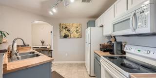 1 bed 1 bath w/ near DIA! $500 MOVE IN SPECIAL Gallery 3