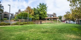 Lake Forest Gallery 30