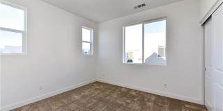 258 Sash 258 Sash Gallery 7