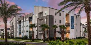Grand Cypress Gallery 34